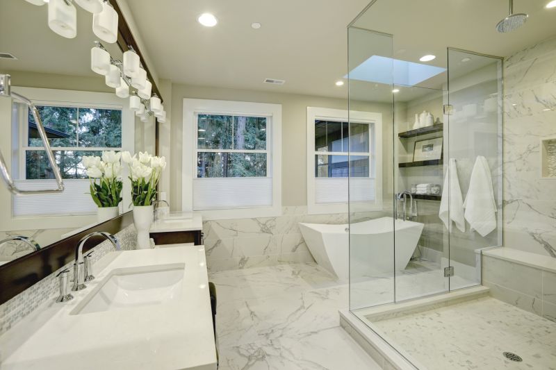 Elegant Tub and Shower Combos